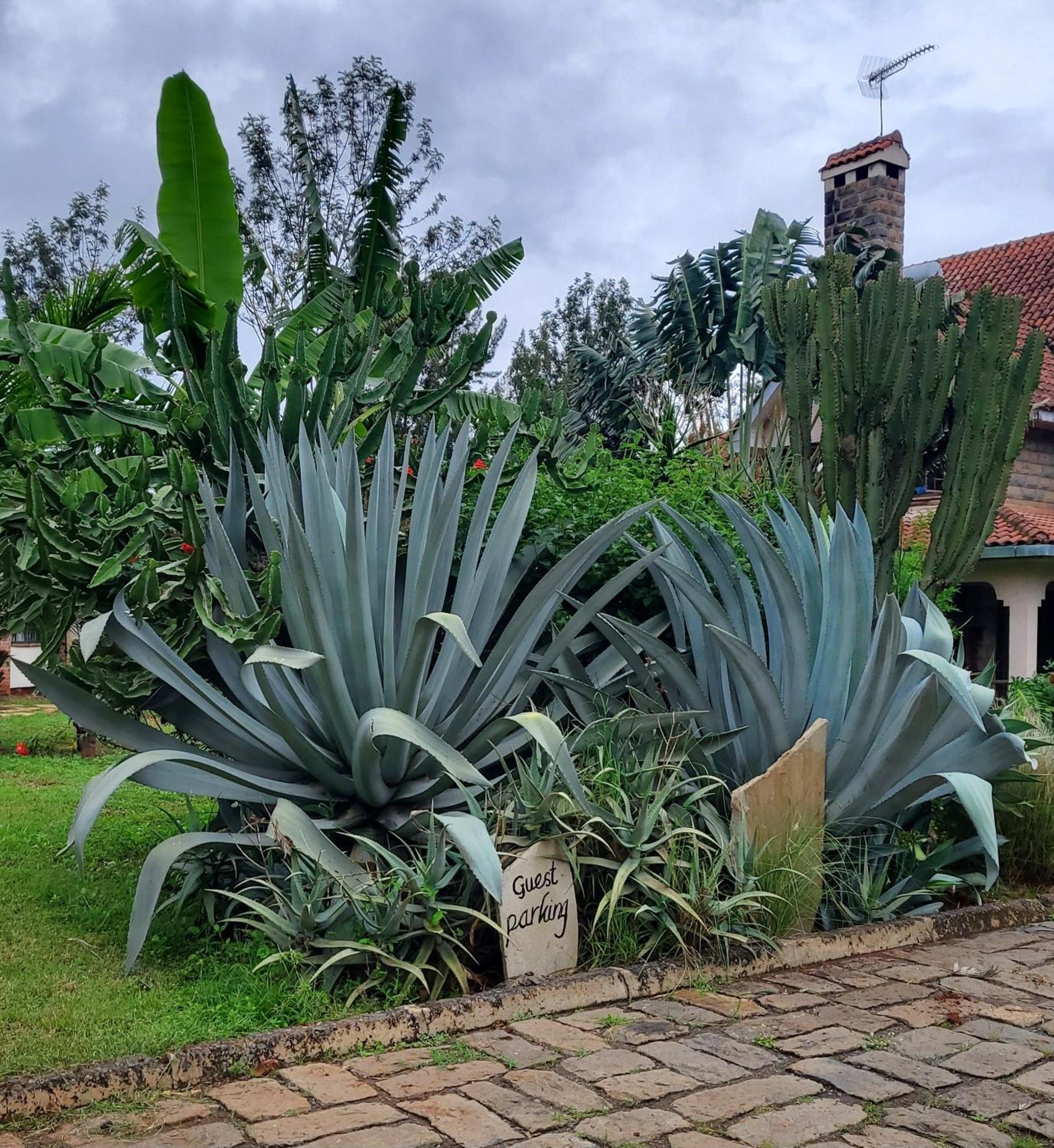 Edaala Comfort - B&B Nairobi Extérieur photo