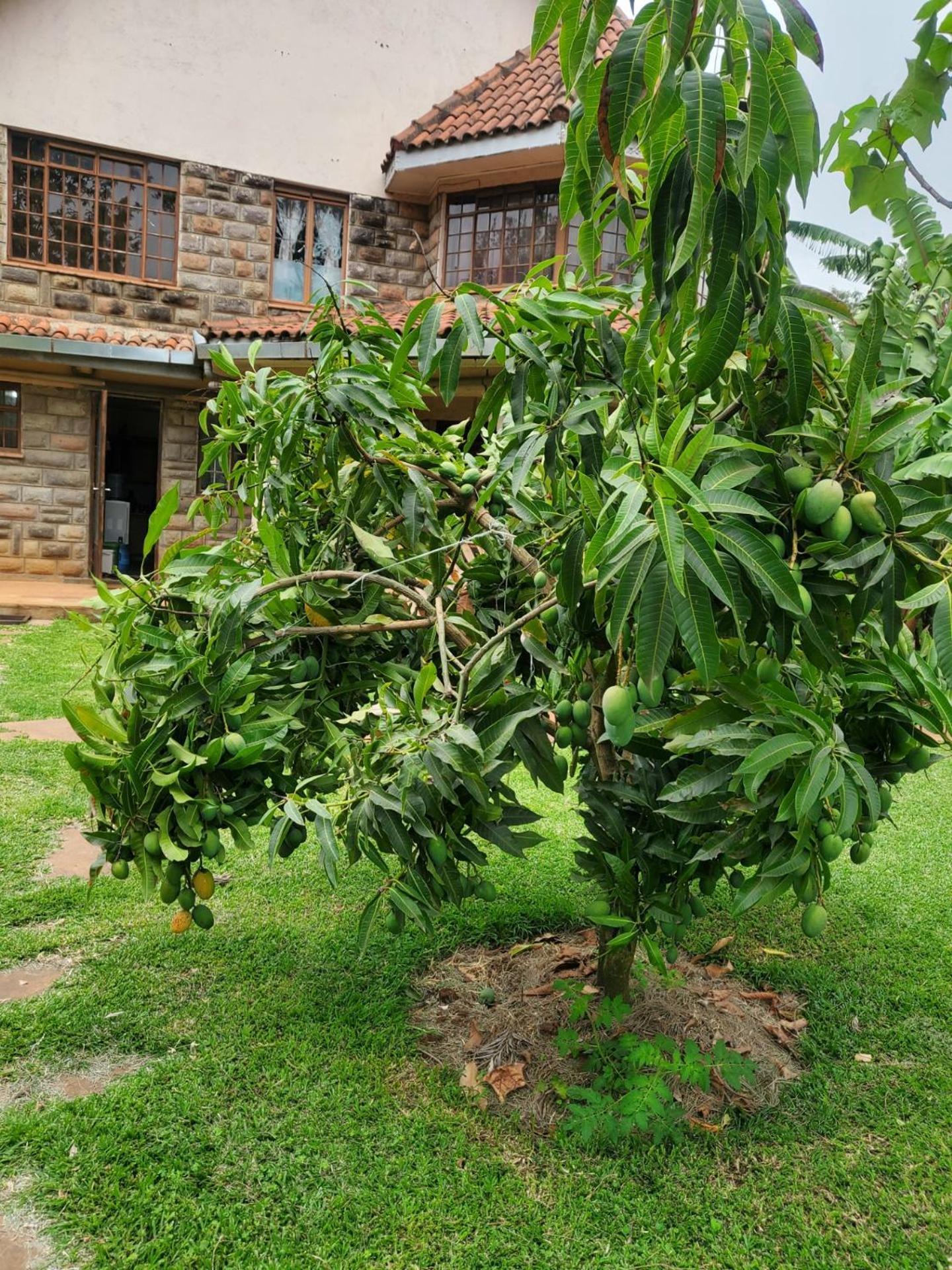 Edaala Comfort - B&B Nairobi Extérieur photo