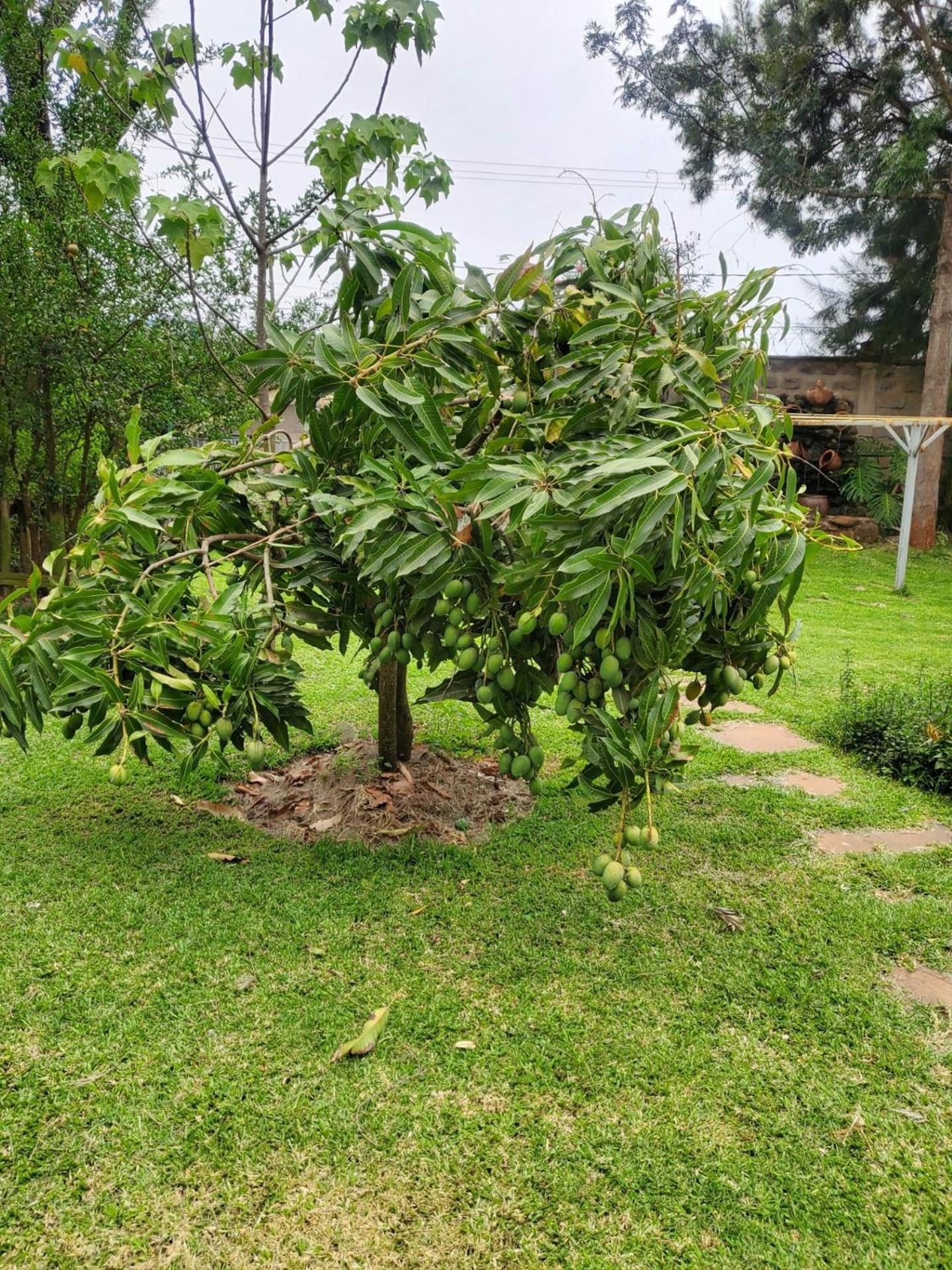 Edaala Comfort - B&B Nairobi Extérieur photo